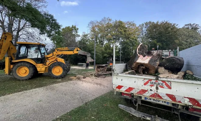 Abattage d'arbre suite à une tempête près de Bourgoin
