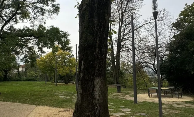 Abattage d'arbre suite à une tempête près de Bourgoin